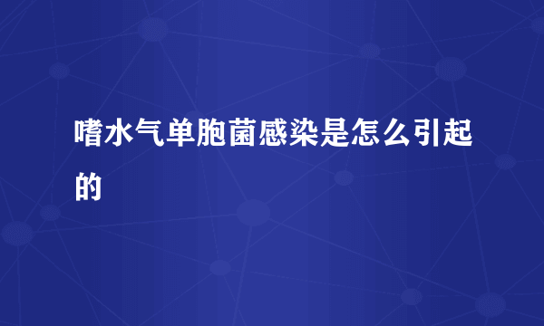 嗜水气单胞菌感染是怎么引起的