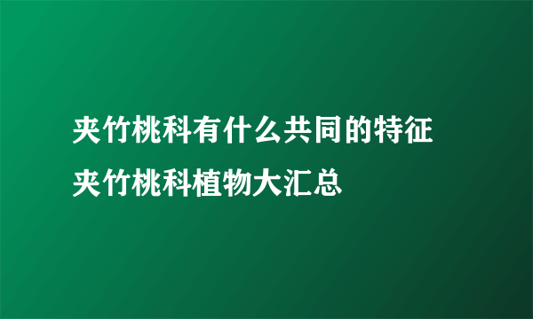 夹竹桃科有什么共同的特征 夹竹桃科植物大汇总