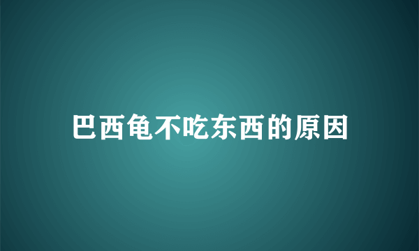 巴西龟不吃东西的原因