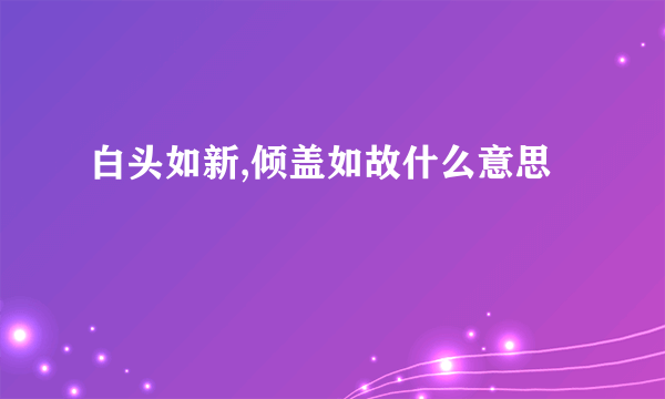 白头如新,倾盖如故什么意思