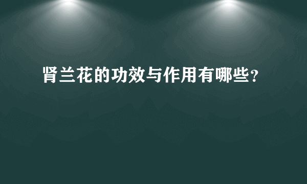 肾兰花的功效与作用有哪些？