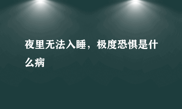 夜里无法入睡，极度恐惧是什么病