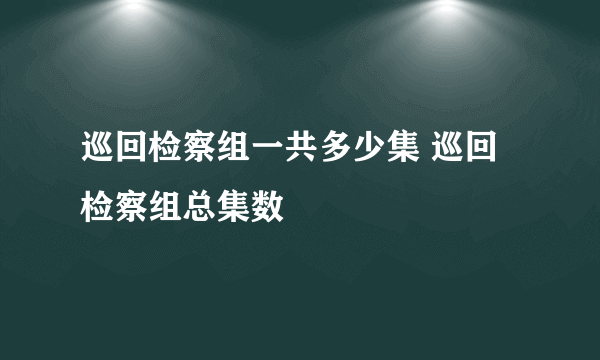 巡回检察组一共多少集 巡回检察组总集数