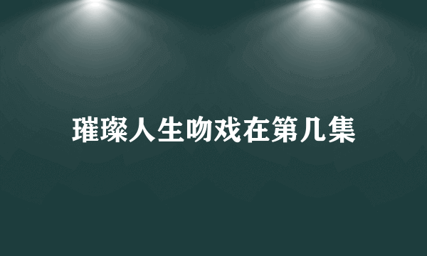 璀璨人生吻戏在第几集