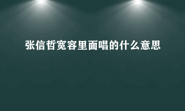 张信哲宽容里面唱的什么意思