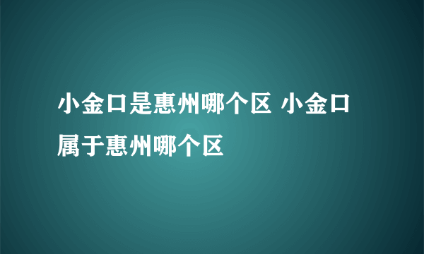 小金口是惠州哪个区 小金口属于惠州哪个区