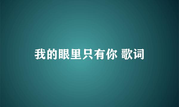 我的眼里只有你 歌词