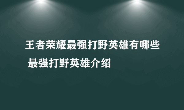 王者荣耀最强打野英雄有哪些 最强打野英雄介绍