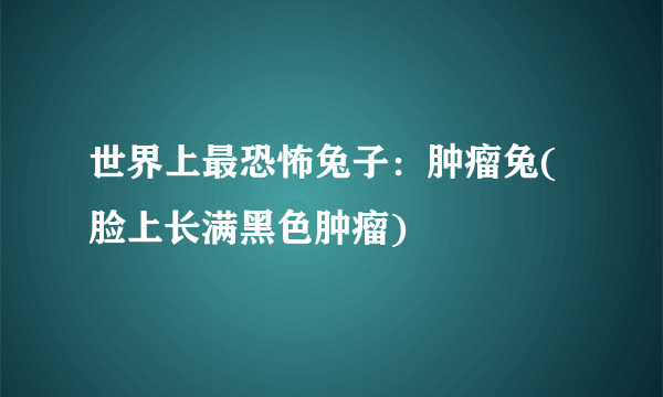 世界上最恐怖兔子：肿瘤兔(脸上长满黑色肿瘤)