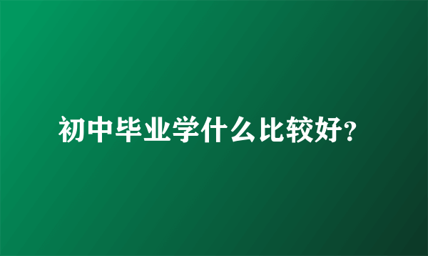 初中毕业学什么比较好？