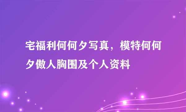 宅福利何何夕写真，模特何何夕傲人胸围及个人资料