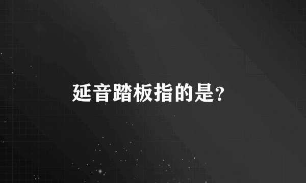 延音踏板指的是？