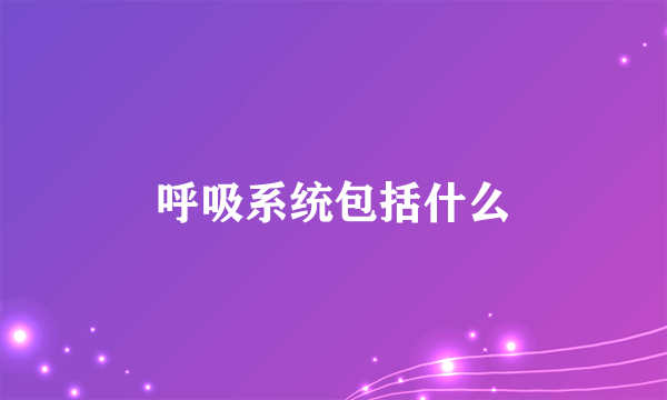 呼吸系统包括什么