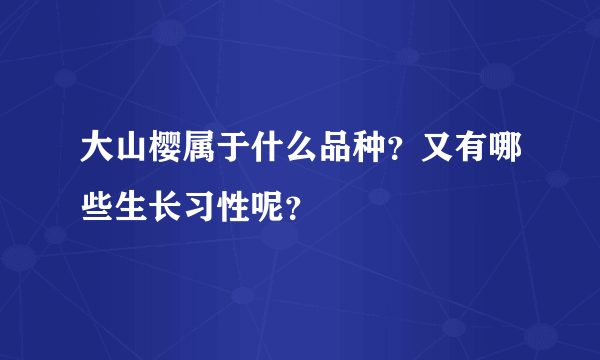 大山樱属于什么品种？又有哪些生长习性呢？