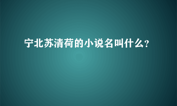 宁北苏清荷的小说名叫什么？