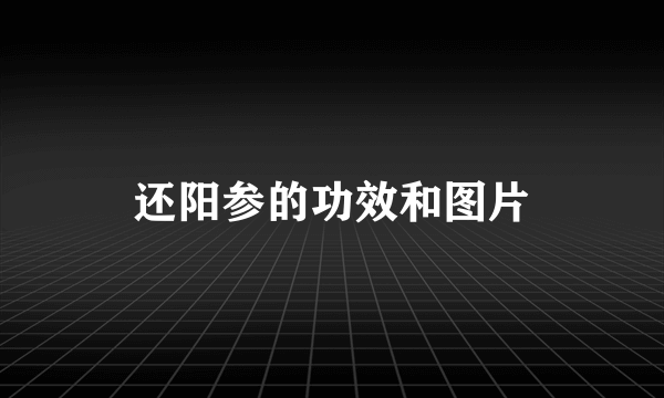 还阳参的功效和图片