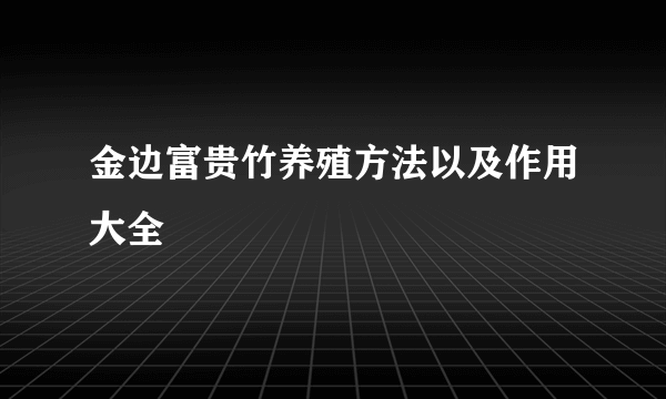 金边富贵竹养殖方法以及作用大全