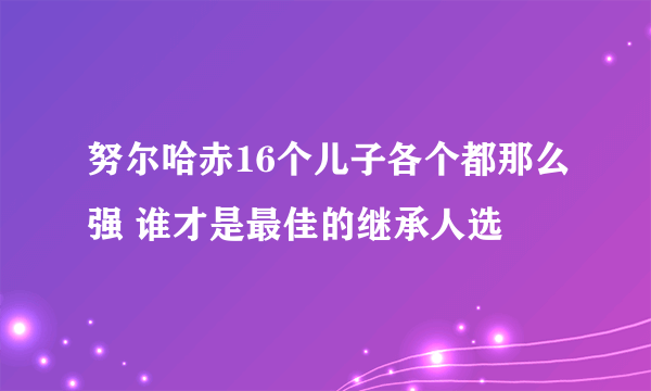 努尔哈赤16个儿子各个都那么强 谁才是最佳的继承人选