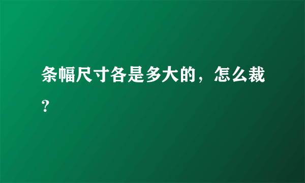 条幅尺寸各是多大的，怎么裁？