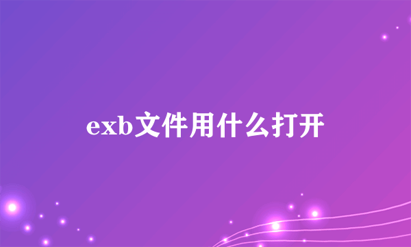 exb文件用什么打开