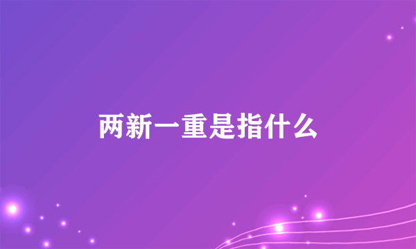 两新一重是指什么