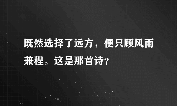 既然选择了远方，便只顾风雨兼程。这是那首诗？