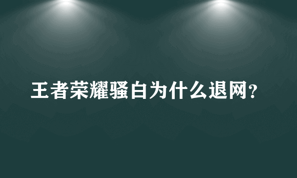 王者荣耀骚白为什么退网？