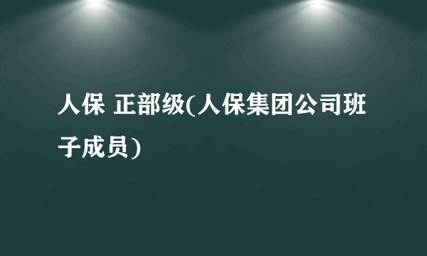 人保 正部级(人保集团公司班子成员) 