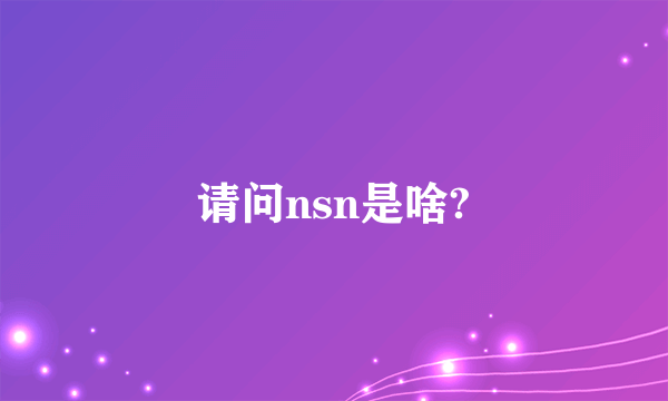 请问nsn是啥?