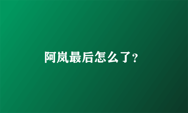 阿岚最后怎么了？