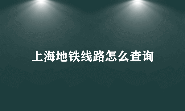 上海地铁线路怎么查询