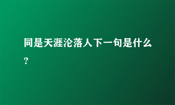 同是天涯沦落人下一句是什么？