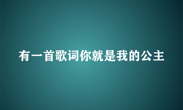 有一首歌词你就是我的公主