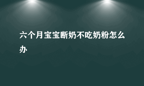 六个月宝宝断奶不吃奶粉怎么办