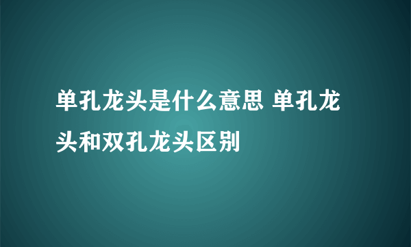 单孔龙头是什么意思 单孔龙头和双孔龙头区别