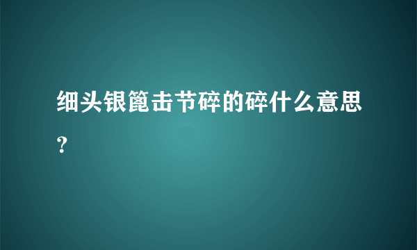 细头银篦击节碎的碎什么意思？