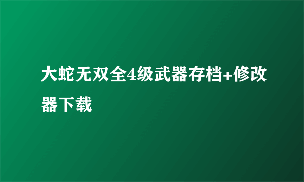 大蛇无双全4级武器存档+修改器下载