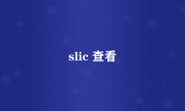 slic 查看