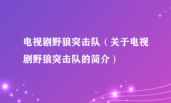 电视剧野狼突击队（关于电视剧野狼突击队的简介）