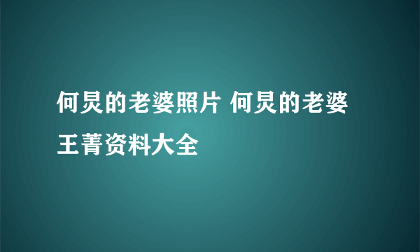 何炅的老婆照片 何炅的老婆王菁资料大全