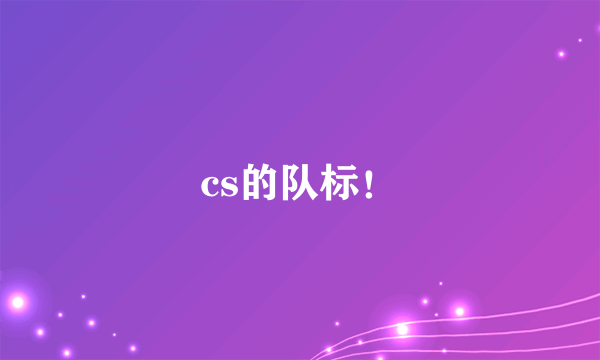 cs的队标！