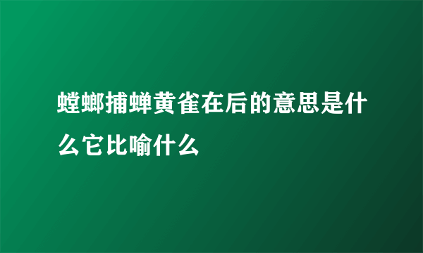 螳螂捕蝉黄雀在后的意思是什么它比喻什么