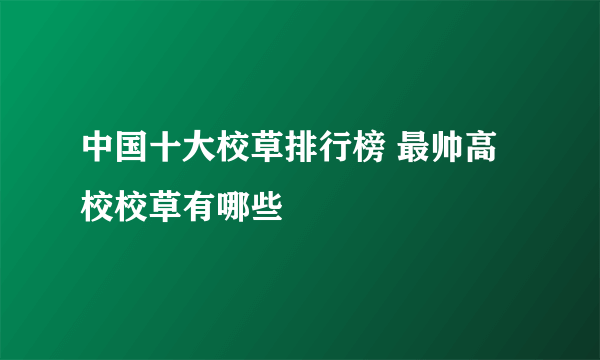 中国十大校草排行榜 最帅高校校草有哪些