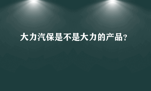 大力汽保是不是大力的产品？