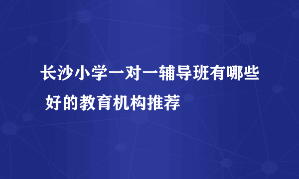 长沙小学一对一辅导班有哪些 好的教育机构推荐