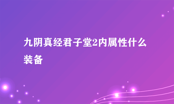 九阴真经君子堂2内属性什么装备