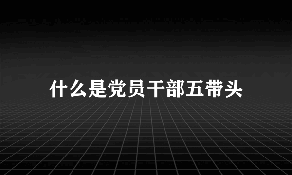 什么是党员干部五带头