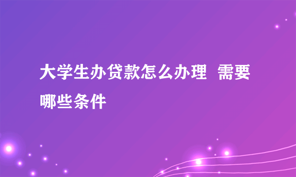 大学生办贷款怎么办理  需要哪些条件