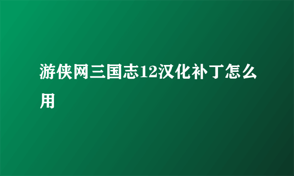 游侠网三国志12汉化补丁怎么用