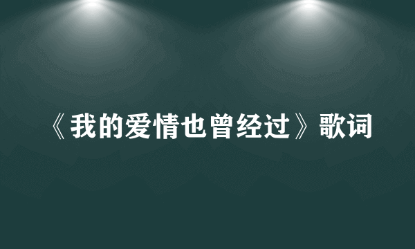 《我的爱情也曾经过》歌词